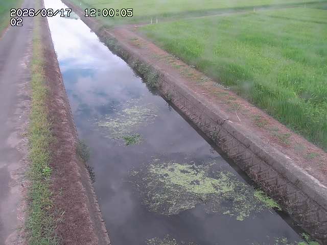 大倉川１2026/08/17 20:40:00