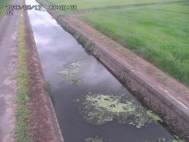 大倉川１2026/08/17 20:40:00