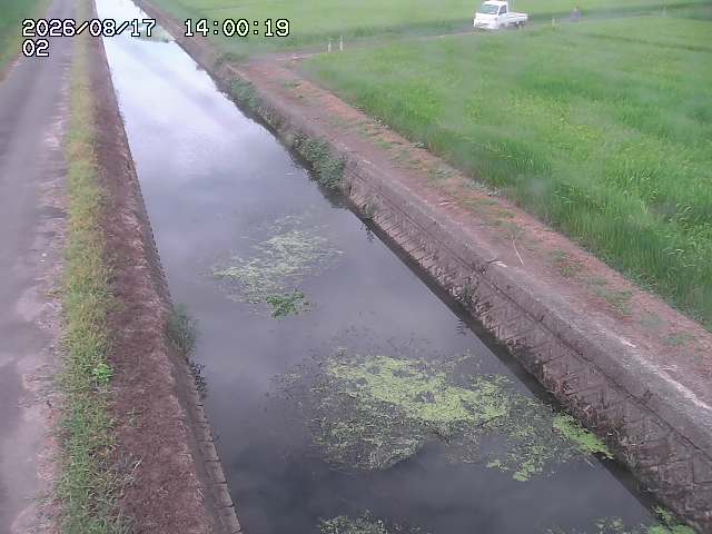大倉川１2026/08/17 20:40:00