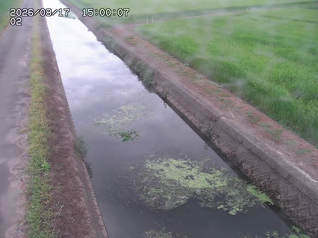 大倉川１2026/08/17 20:40:00