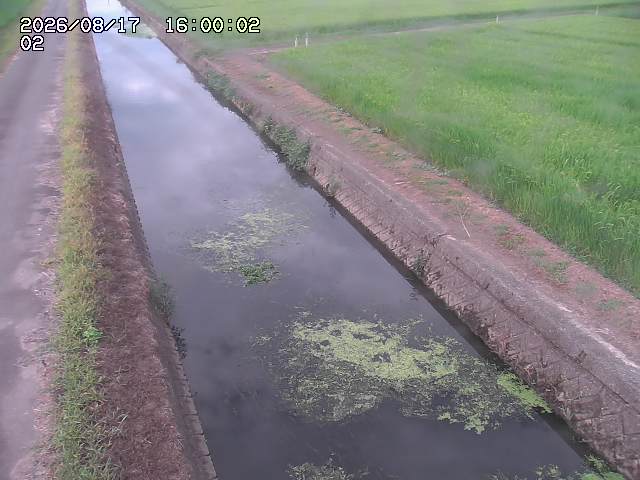 大倉川１2026/08/17 20:40:00