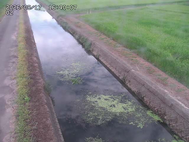 大倉川１2026/08/17 20:40:00