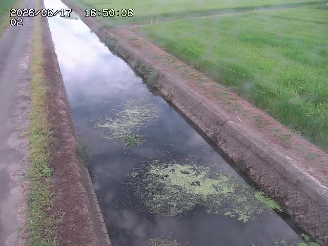 大倉川１2026/08/17 20:40:00