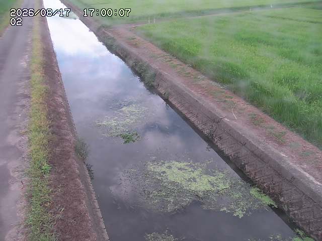 大倉川１2026/08/17 20:40:00