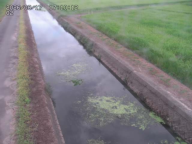 大倉川１2026/08/17 20:40:00