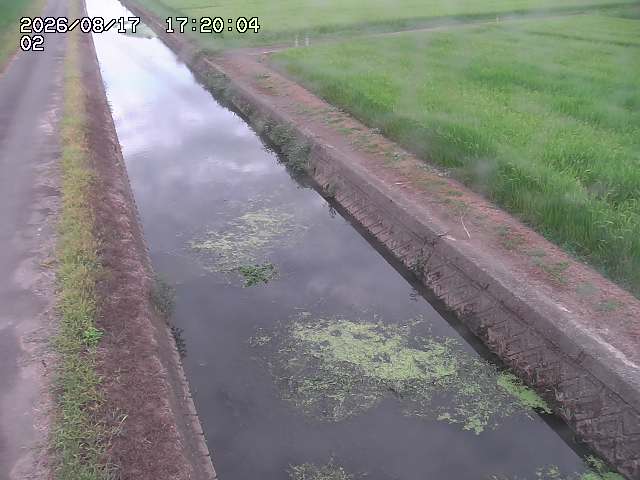 大倉川１2026/08/17 20:40:00