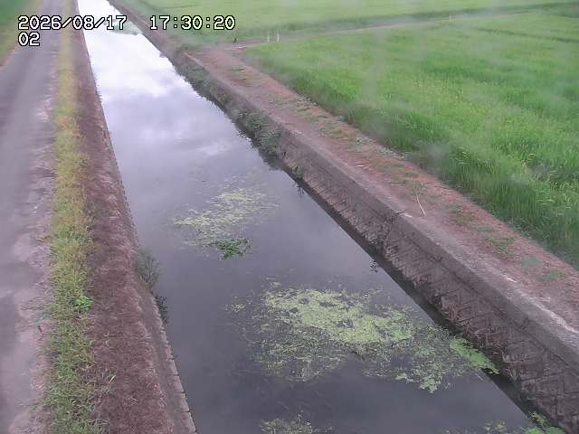 大倉川１2026/08/17 20:40:00