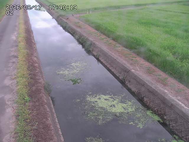 大倉川１2026/08/17 20:40:00