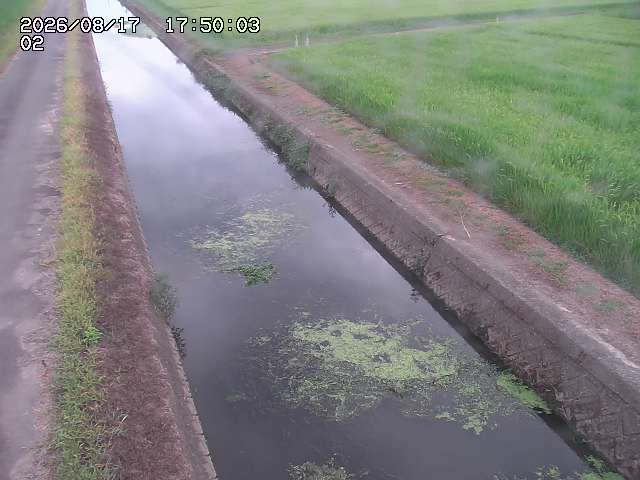 大倉川１2026/08/17 20:40:00