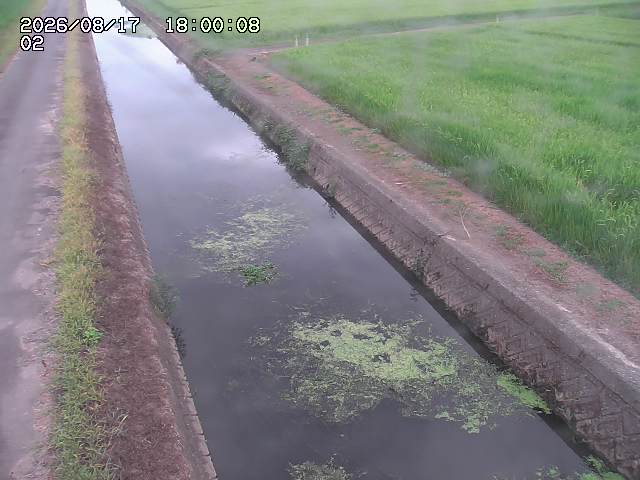 大倉川１2026/08/17 20:40:00