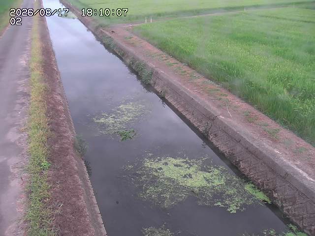 大倉川１2026/08/17 20:40:00