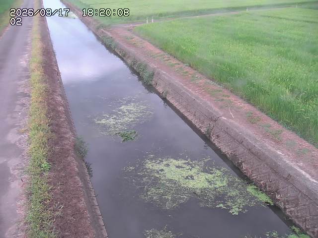 大倉川１2026/08/17 20:40:00
