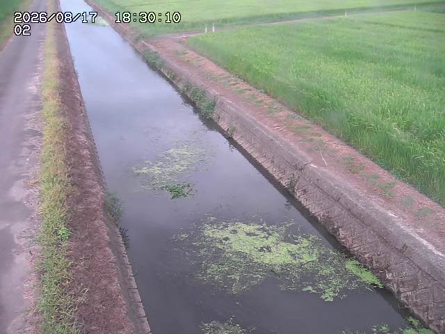 大倉川１2026/08/17 20:40:00