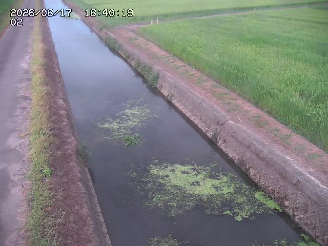 大倉川１2026/08/17 20:40:00