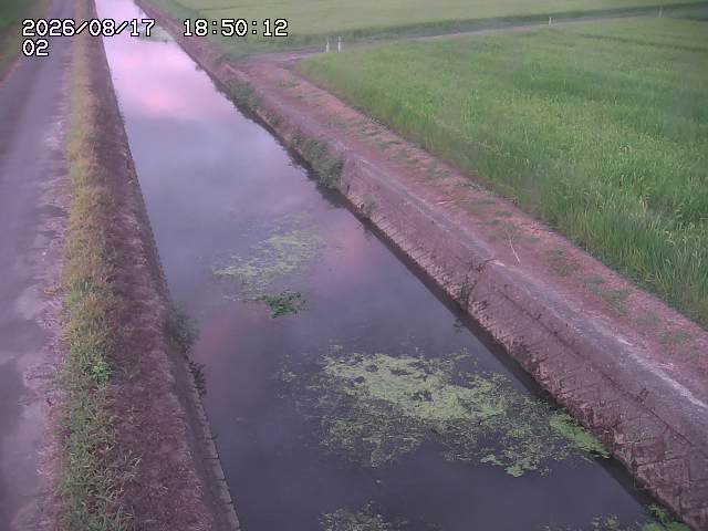 大倉川１2026/08/17 20:40:00