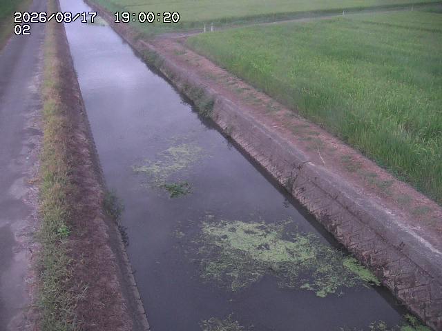 大倉川１2026/08/17 20:40:00