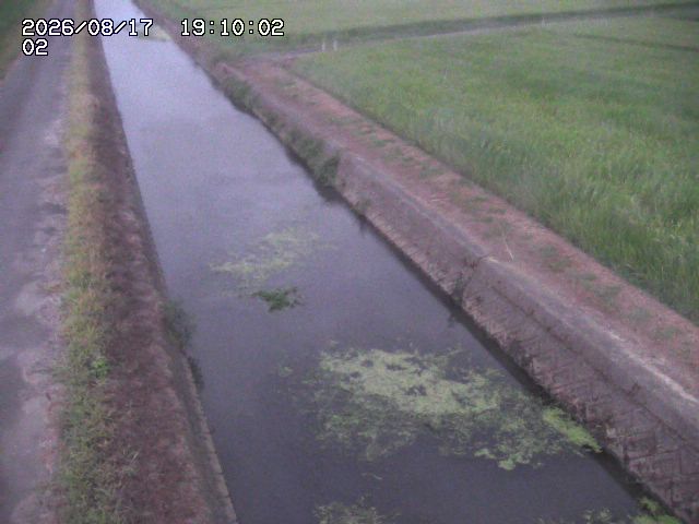 大倉川１2026/08/17 20:40:00