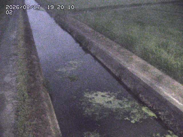 大倉川１2026/08/17 20:40:00