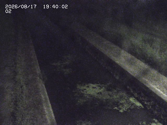 大倉川１2026/08/17 20:40:00