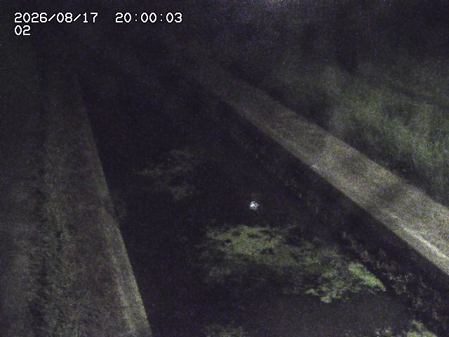 大倉川１2026/08/17 20:40:00