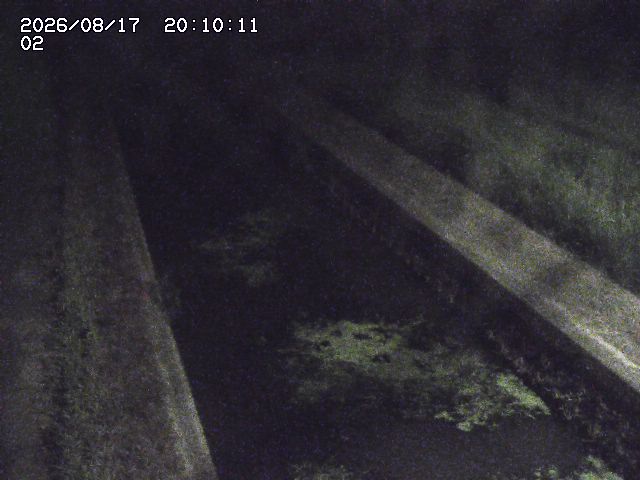 大倉川１2026/08/17 20:40:00