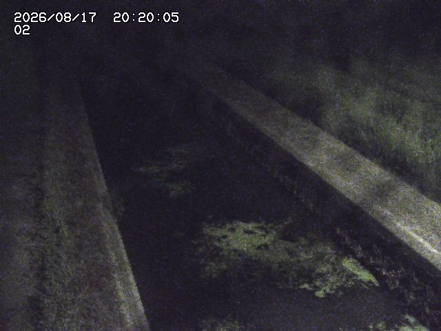 大倉川１2026/08/17 20:40:00