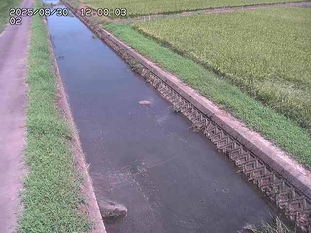 大倉川１2025/08/31 9:20:00