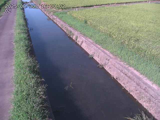 大倉川１2025/08/31 9:20:00