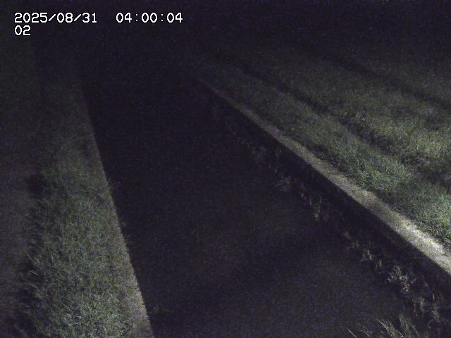 大倉川１2025/08/31 9:20:00
