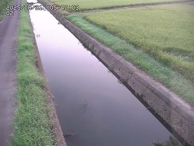 大倉川１2025/08/31 9:20:00