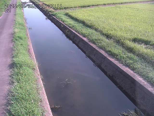 大倉川１2025/08/31 9:20:00