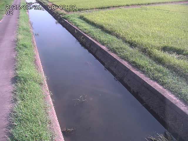 大倉川１2025/08/31 9:20:00