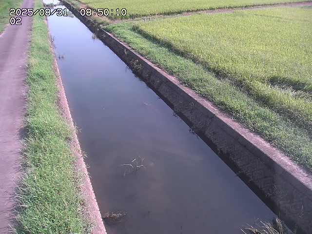 大倉川１2025/08/31 9:20:00