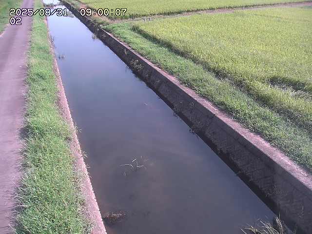 大倉川１2025/08/31 9:20:00