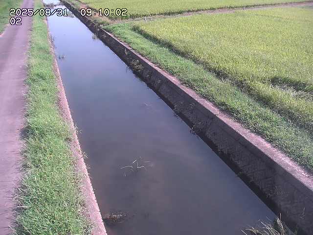 大倉川１2025/08/31 9:20:00