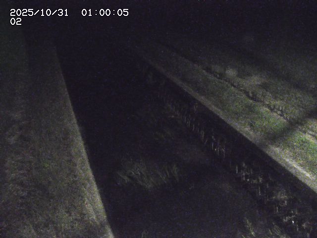 大倉川12025/11/01 0:00:00