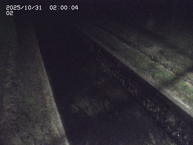 大倉川12025/11/01 0:00:00