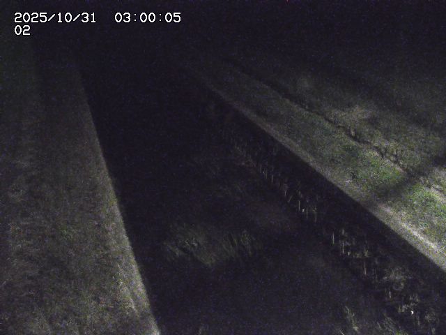 大倉川12025/11/01 0:00:00