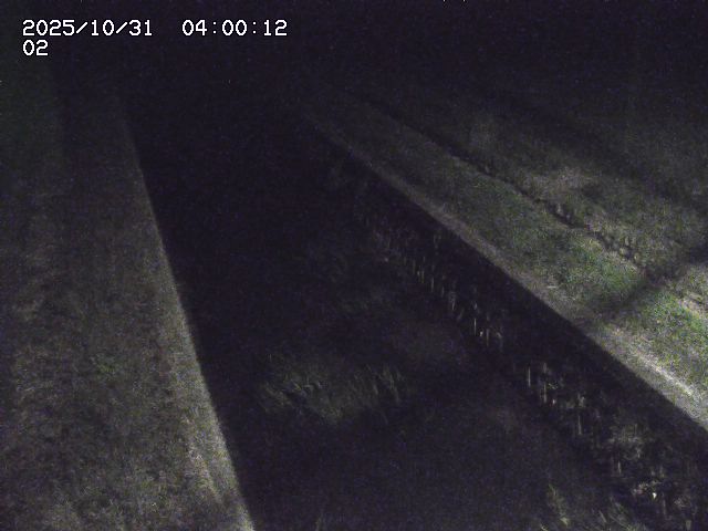 大倉川12025/11/01 0:00:00