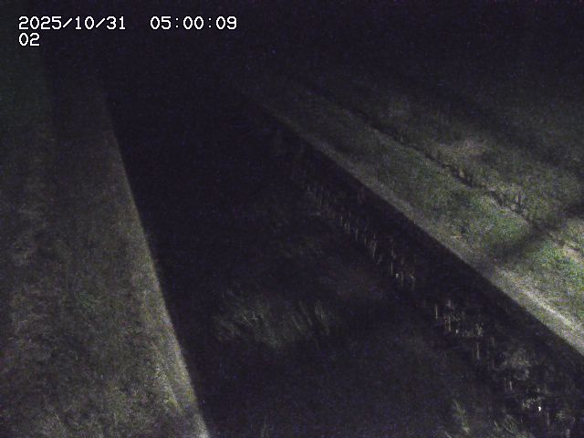 大倉川12025/11/01 0:00:00