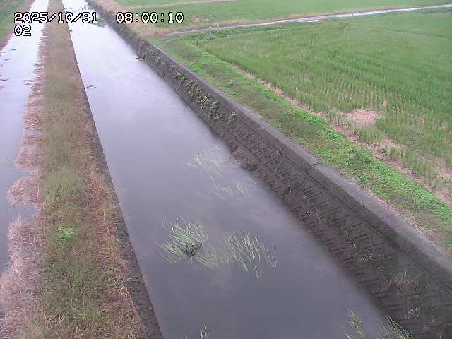 大倉川12025/11/01 0:00:00