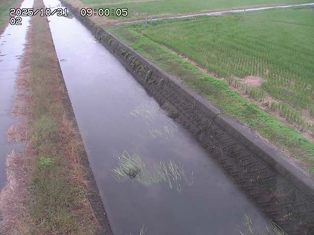 大倉川12025/11/01 0:00:00