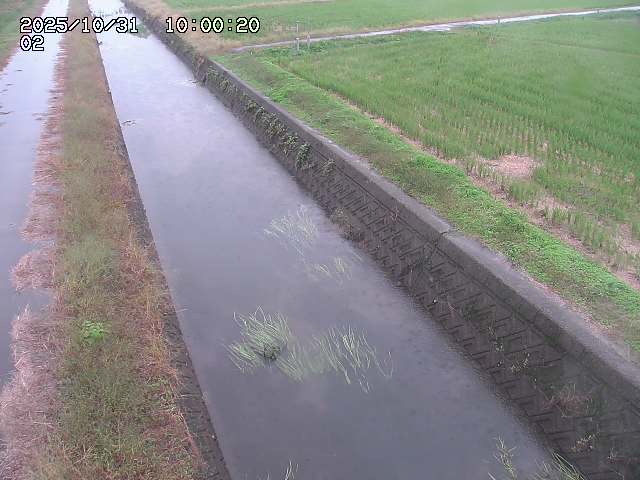 大倉川12025/11/01 0:00:00