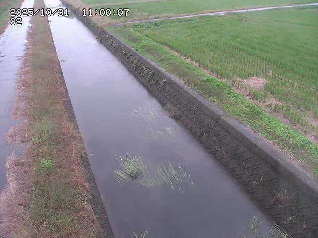 大倉川12025/11/01 0:00:00