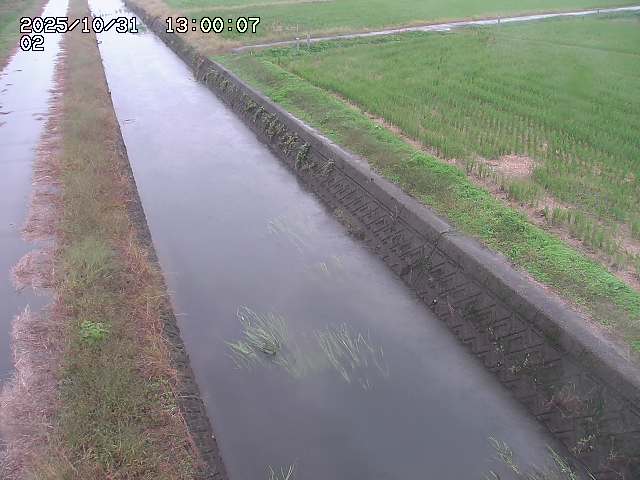 大倉川12025/11/01 0:00:00