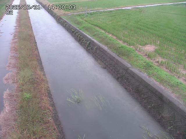 大倉川12025/11/01 0:00:00