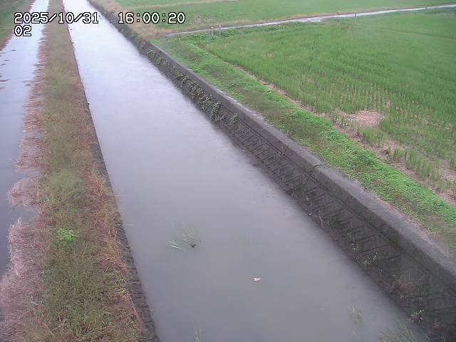 大倉川12025/11/01 0:00:00