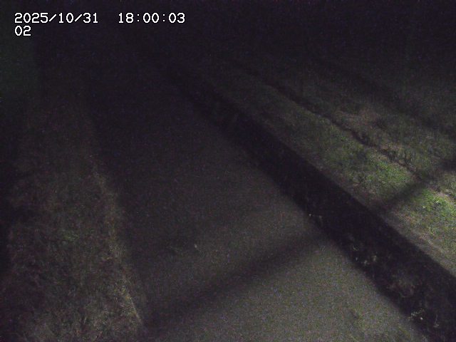 大倉川12025/11/01 0:00:00