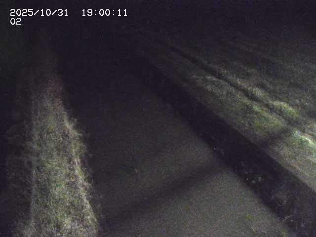 大倉川12025/11/01 0:00:00