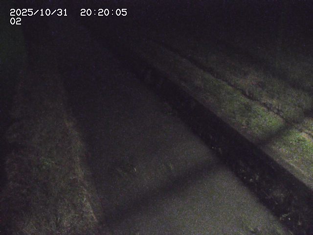 大倉川12025/11/01 0:00:00